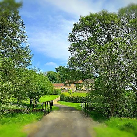 Old Orchard Cottage, Wykeham Scarborough Luaran gambar